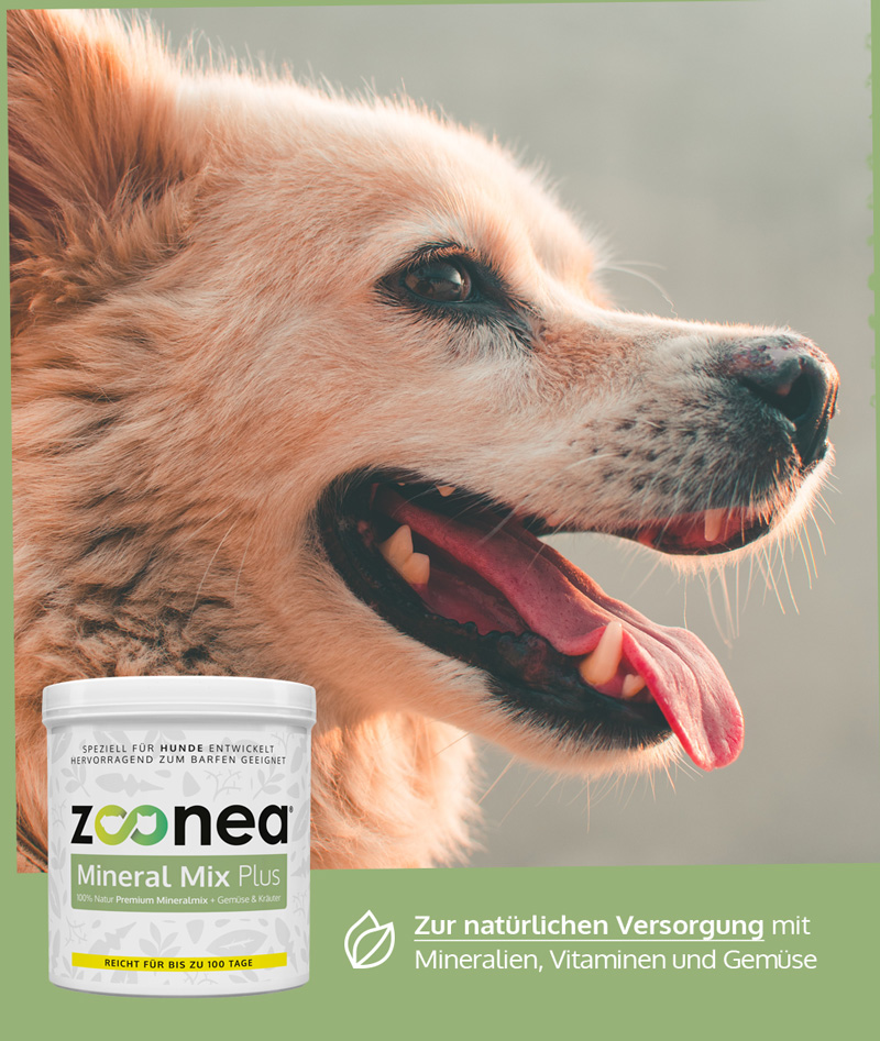 Mineral Mix Plus für Hunde