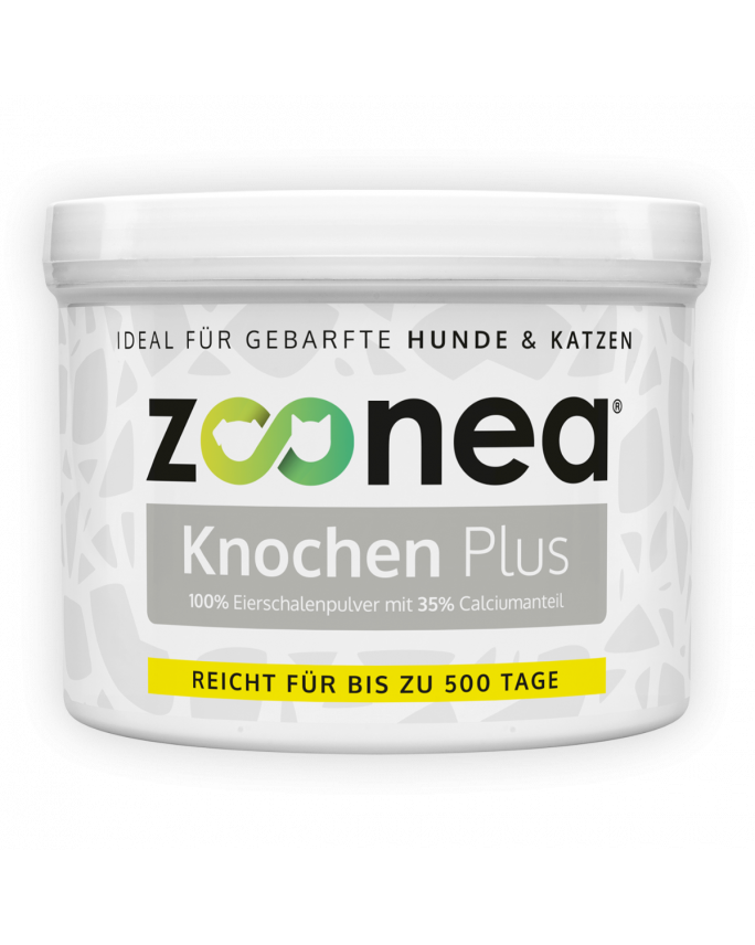 Knochen Plus