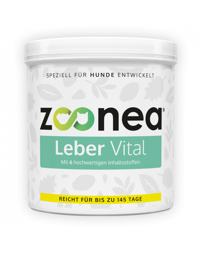 Leber Vital